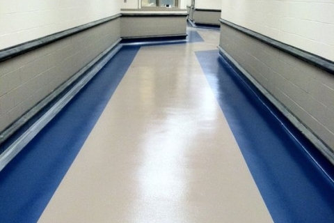 SO SÁNH GỐC NƯỚC VÀ GỐC DẦU: ĐẶC ĐIỂM VÀ ỨNG DỤNG