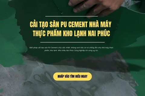Cải Tạo Sàn PU Cement Nhà Máy Thực Phẩm Kho Lạnh Nai Phúc